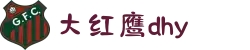 大红鹰dhy(中国)有限公司官网